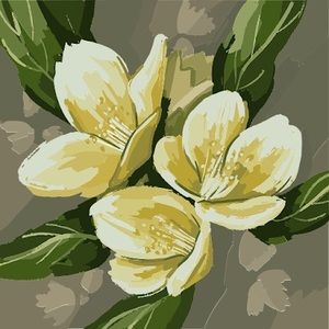 Meet your Posher, Celeste